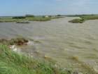 dsc05319_small.jpg