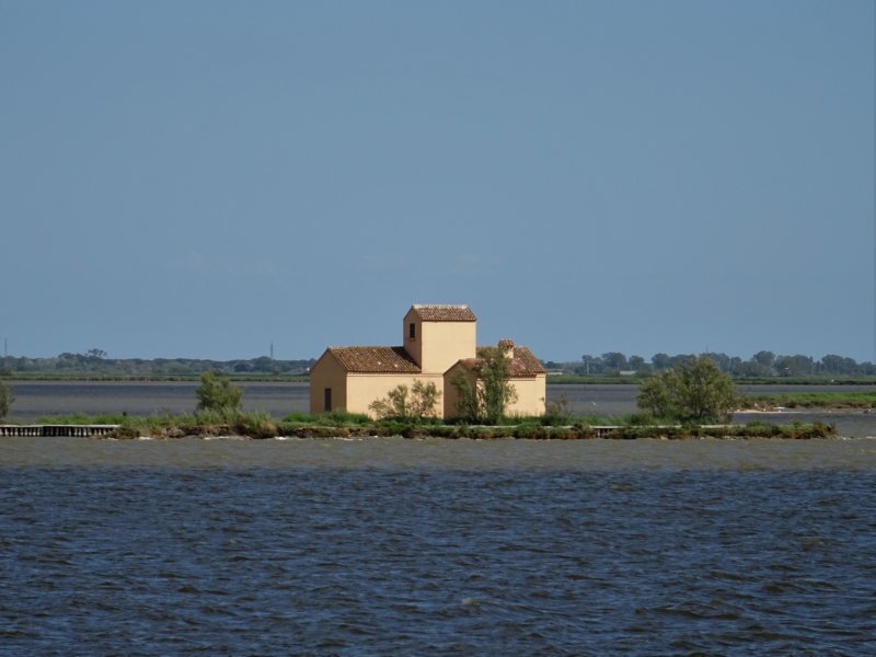 dsc05335.jpg