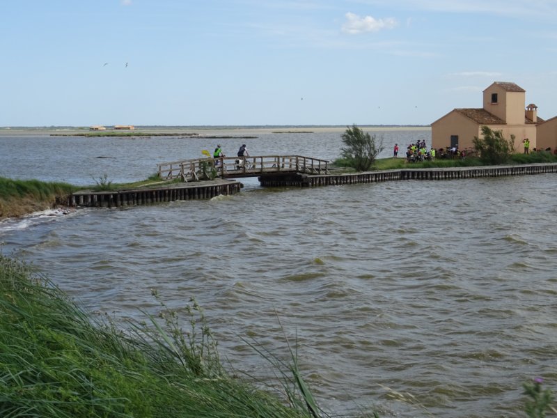 dsc05343.jpg