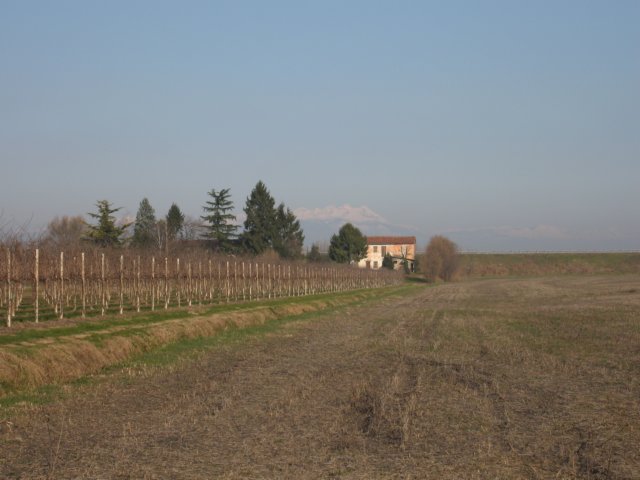 img_4475.jpg