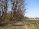 img_4487_small.jpg