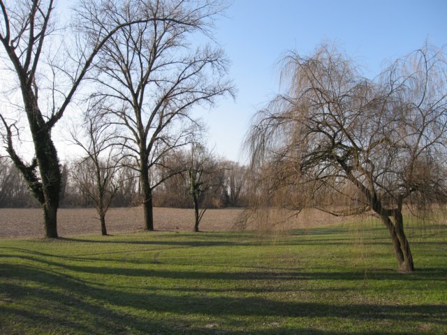img_4493.jpg