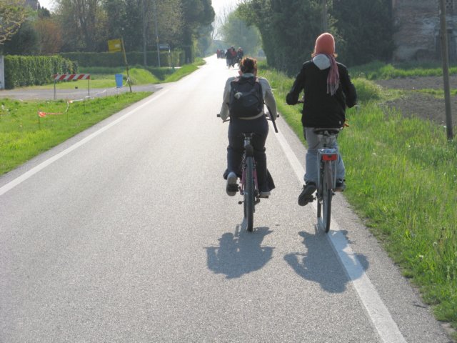 immagine006.jpg