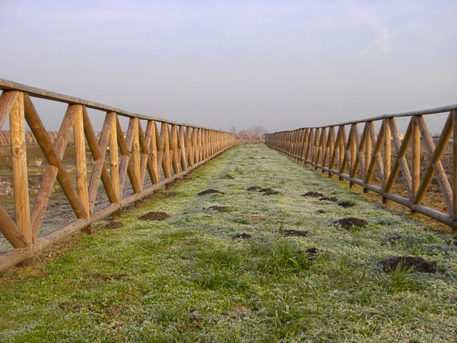 photo24.jpg