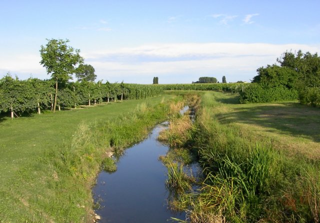 photo29.jpg