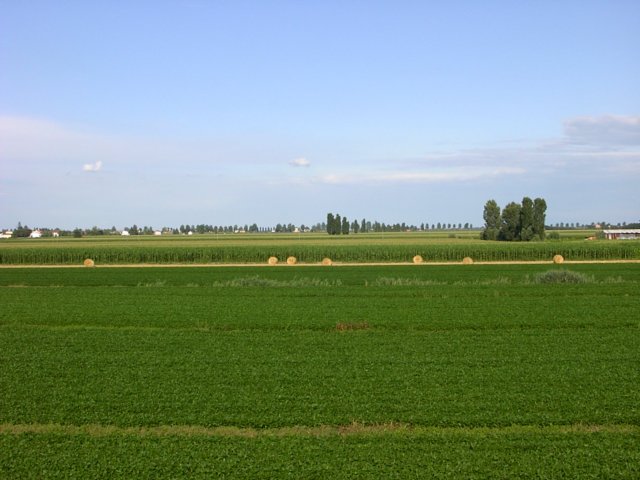 photo6.jpg