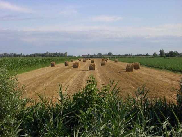 photo8.jpg