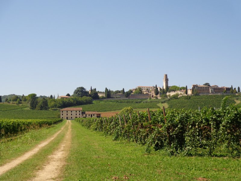 dsc00803.jpg