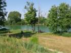 dsc08151_small.jpg