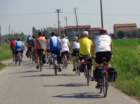 dsc08157_small.jpg