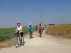 dsc08164_small.jpg