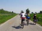 dsc08195_small.jpg