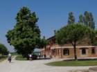 dsc08202_small.jpg