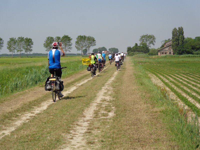 dsc08229.jpg