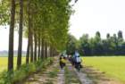 dsc08231b_small.jpg