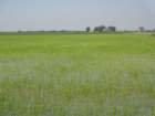 dsc08232_small.jpg