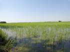 dsc08237_small.jpg