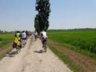 dsc08249_small.jpg