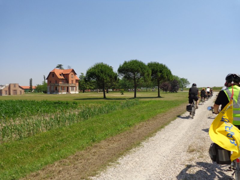 dsc08254.jpg