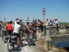 dsc08274a_small.jpg