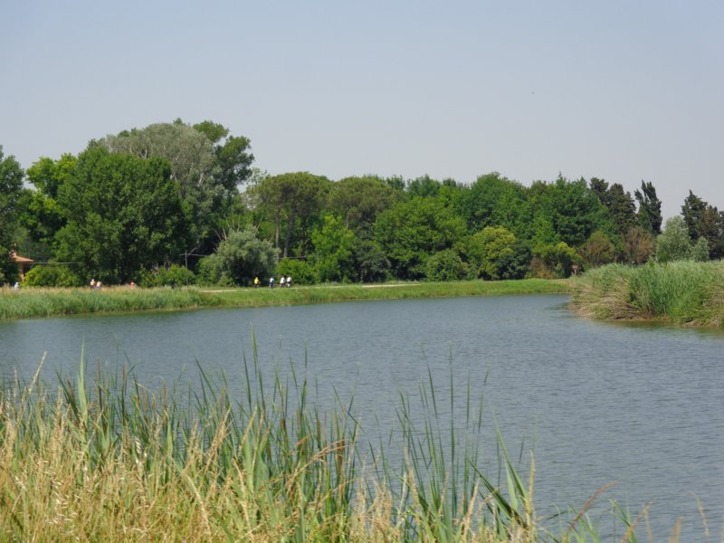 dsc08286.jpg