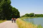 dsc08291a_small.jpg