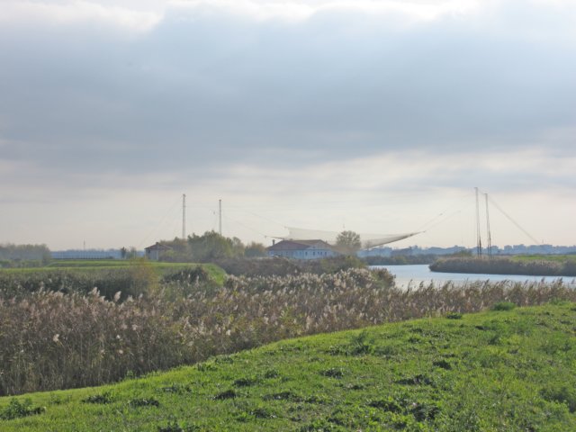 img_2800.jpg