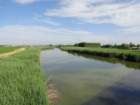 dsc09097_small.jpg