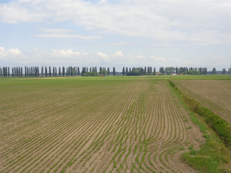 dsc09130.jpg