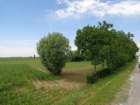 dsc09158_small.jpg