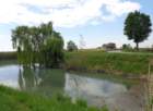 dsc09161_small.jpg