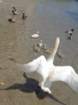 dsc09183_small.jpg