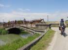 dsc09237_small.jpg