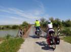 dsc09262_small.jpg