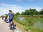 dsc09275_small.jpg