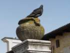 img_1703aha_small.jpg