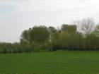 img_1718e_small.jpg
