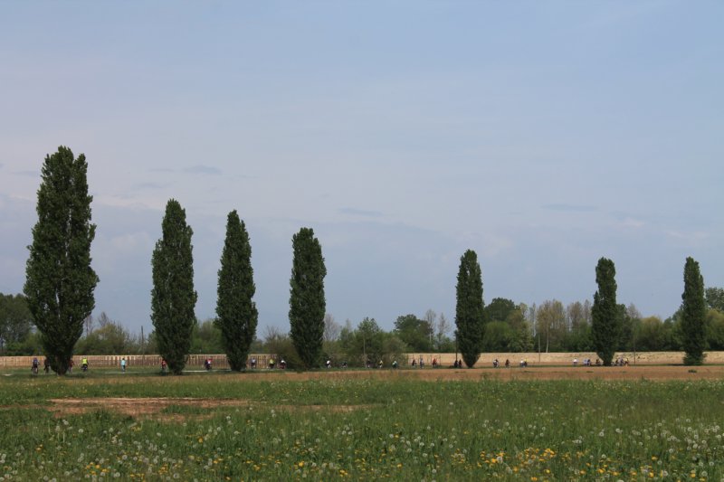 img_1734a.jpg