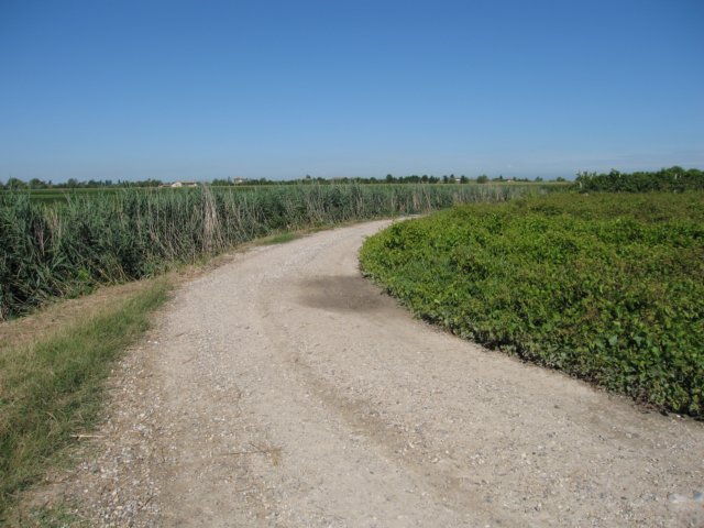 img_2014.jpg