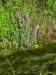 img_2015_small.jpg