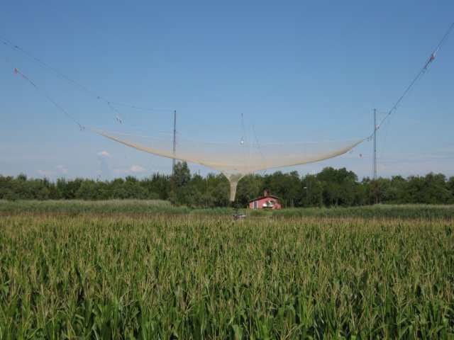 img_2036.jpg