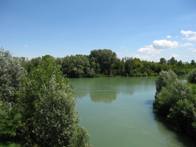 img_2050.jpg