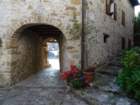 dsc05077_small.jpg