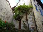dsc05094_small.jpg