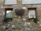 dsc05095_small.jpg