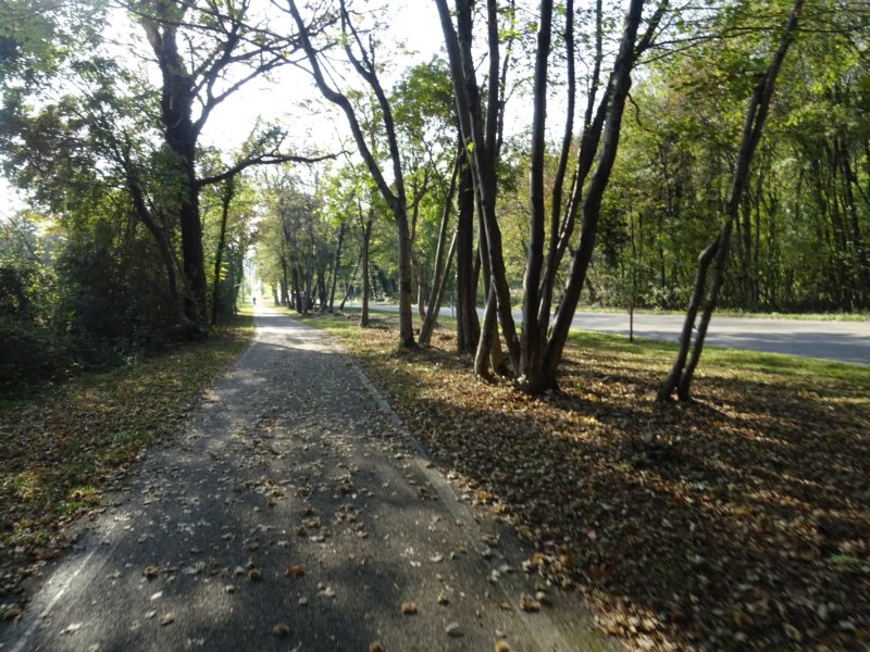 dsc05120.jpg