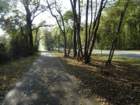 dsc05120_small.jpg