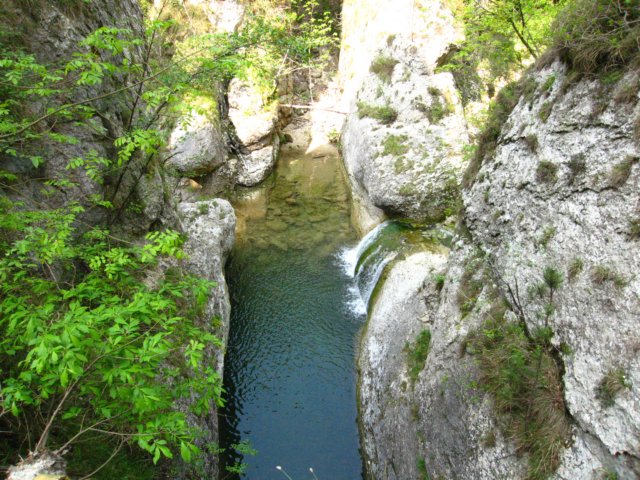 img_6283.jpg