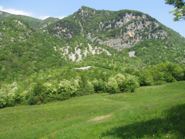 img_6299.jpg
