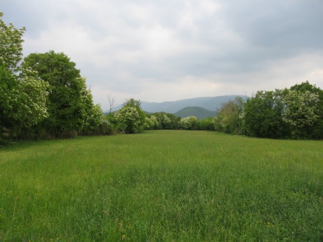 img_6368.jpg
